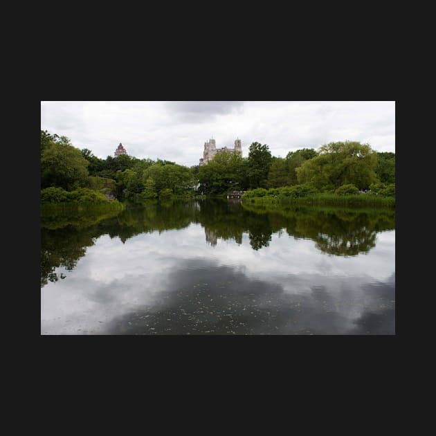 Central Park Reflections by Jacquelie