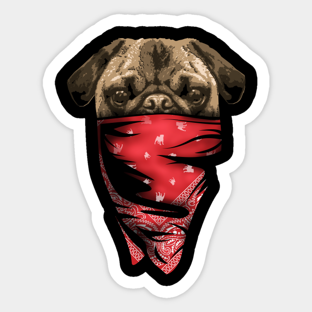 red pug