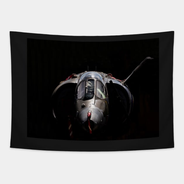 RAF Harrier GR-3 Tapestry by captureasecond