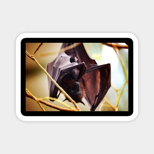 bat Magnet