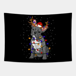 French Bulldog Reindeer Xmas Color Lights Merry Christmas Tapestry