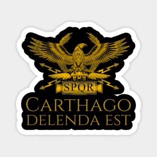 Ancient Classical Roman History Carthago Delenda Est Latin Quote Magnet