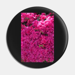 Bougainvillea Pin