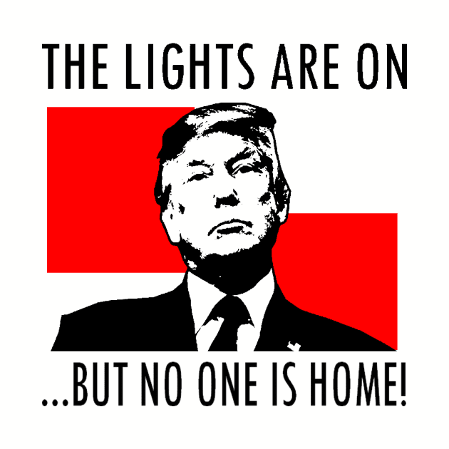 THE LIGHTS ARE ON BUT NO ONE IS HOME! by truthtopower