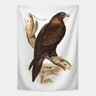 Wedged tailed eagle Tapestry