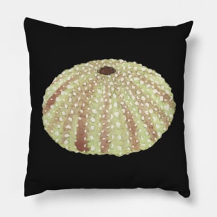 Pastel Watercolor Sea Urchin Shell Pillow