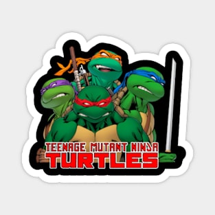 Hero Turtles Magnet