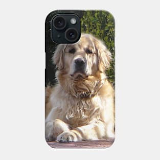 Dogs - Dog on Guard Phone Case