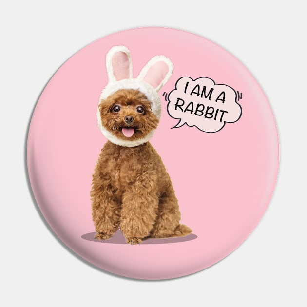 I Am A Rabbit | Poodles cute Pin by i am Cuta