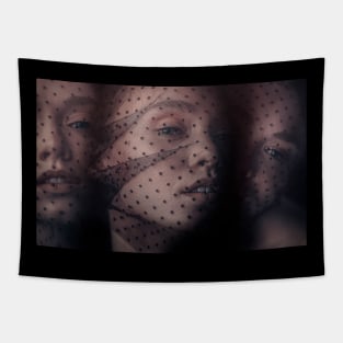 Glance Tapestry