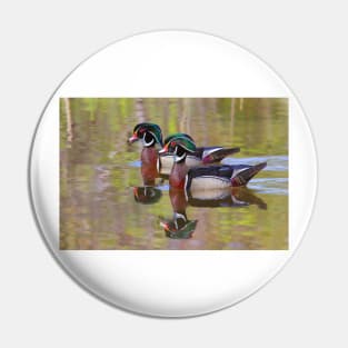 Twin Beaks - Wood Ducks Pin