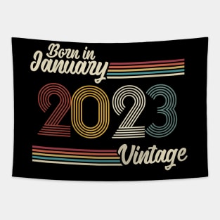 Vintage Born in January 2023 Tapestry