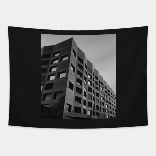 Black and white architecture photography Tapestry