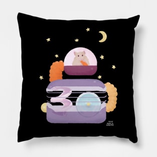 Cute Hamster in Space Cage Pillow