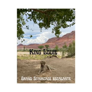 King Louie at the Grand Staircase Escalante National Monument T-Shirt