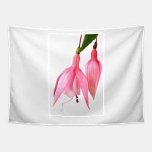 Fuchsia  &#39;Miss California&#39; Tapestry