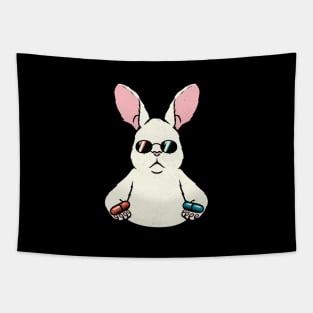 Follow The White Rabbit Pocket by Tobe Fonseca Tapestry