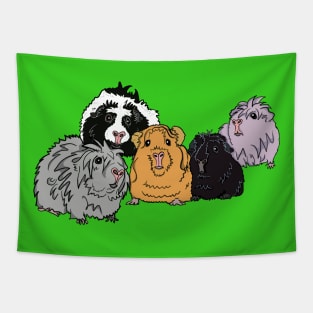 FiveCavies Tapestry