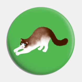 Playful Ragdoll Cat Pin