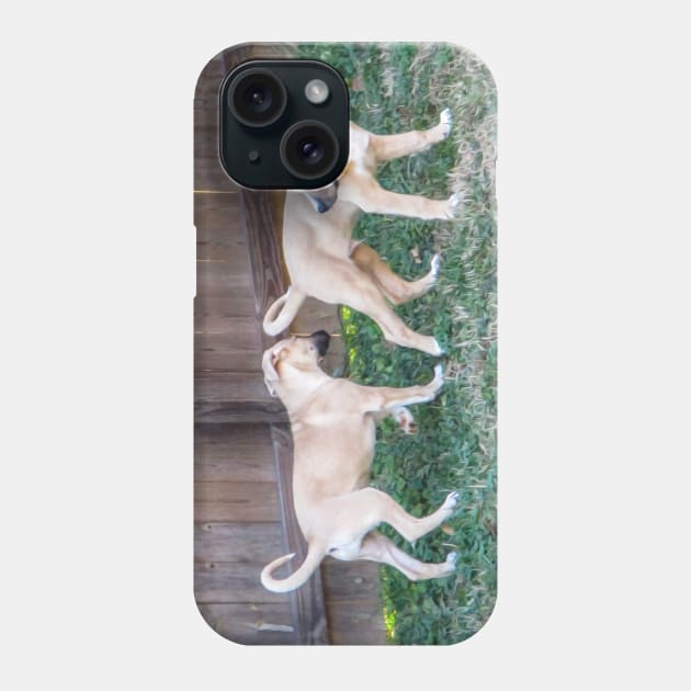 Anatolian Shepard Puppy Curtness Phone Case by PandLCreations