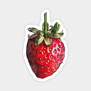 Watercolor Strawberry Magnet