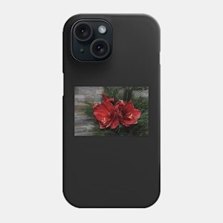 Knight's Star - Hippeastrum Phone Case