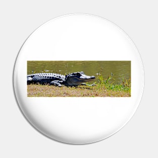 Water Hazard Pin