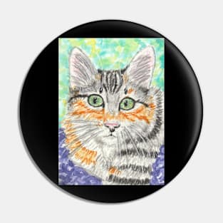 Tabby cat art  painting Pin