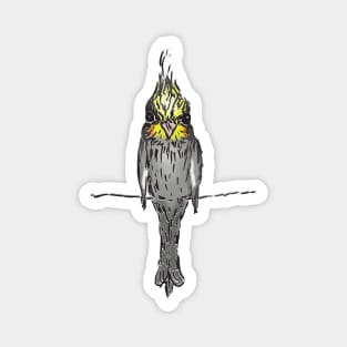 Illustration of a cockatiel Magnet