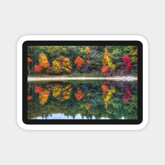 Walden Pond Fall Foliage Concord MA Reflection Magnet by WayneOxfordPh