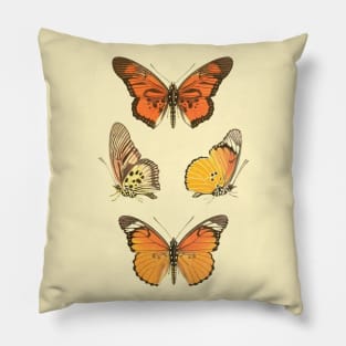 Orange Butterflies Vintage Illustration 70s Style Pillow