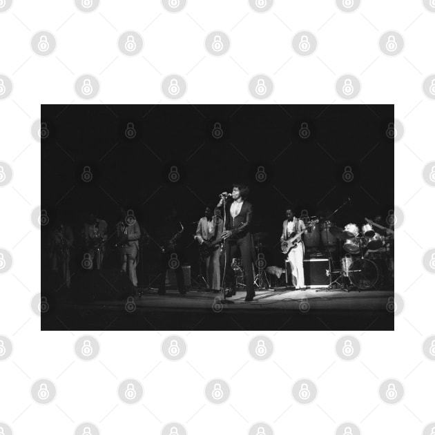 James Brown BW Photograph by Concert Photos