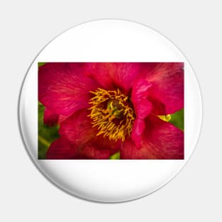 Blooming Red! Pin