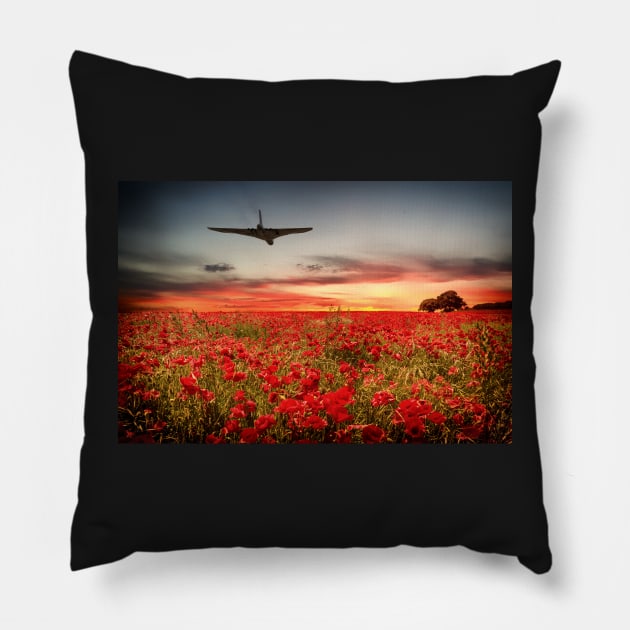 The Final Vulcan Pillow by aviationart