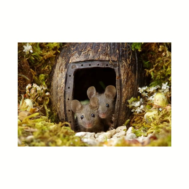 two wild mouse at the  wood pile door by Simon-dell