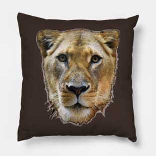 Lioness from Africa Pillow