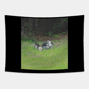 Finn the Cat Riding a Push Mower Tapestry