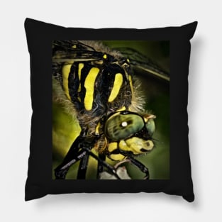 THE DRAGONFLY KING Pillow