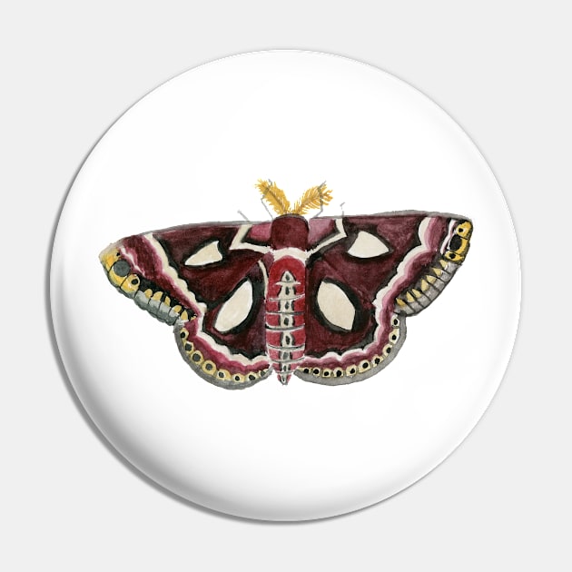 Watercolor Cecropia (silk) Moth Pin by paintedpansy