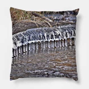 Ice Bells on the Bank Pillow