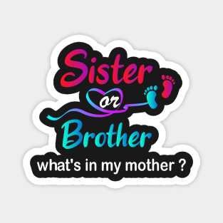 Sister Or Brother What's In My Mother Magnet