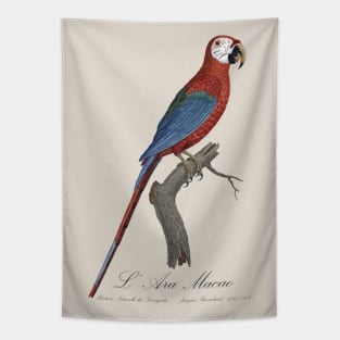 Red and Green Macaw Parrot - L' Ara Macao - Jacques Barraband 19th century Illustration Tapestry