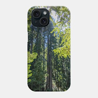 Various Shades of Green in Muir Woods National Monument Phone Case