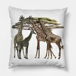 Giraffe - Family on Safari in Kenya / Africa Pillow