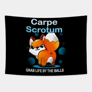 Carpe Scrotum Tapestry