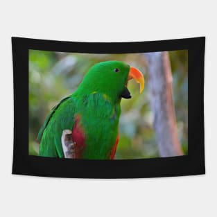 Parrot Tapestry