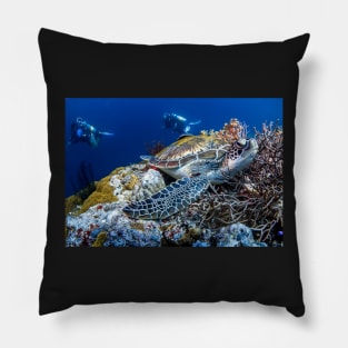 Turtle Under the Ocean Pillow