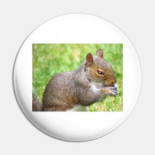 Squirrel Pin