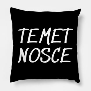 Temet nosce Pillow