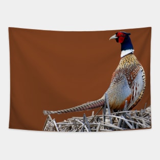 Ring-necked Pheasant Photo Tapestry